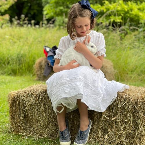 Animal Experience Gift visit -Rabbits