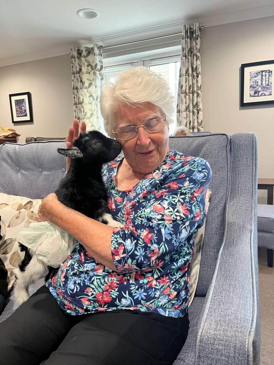 Animal Experience Gift visit -Rabbits - Image 2