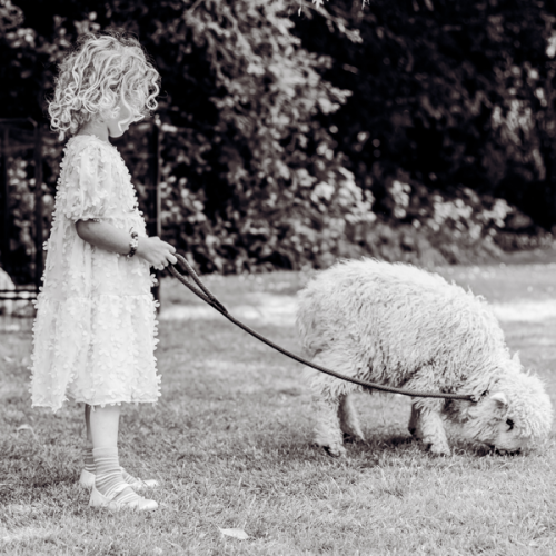 Animal Experience Gift visit