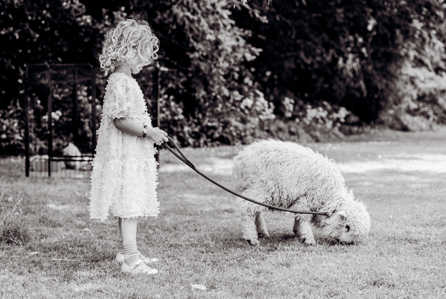 Animal Experience Gift visit -Rabbits - Image 4