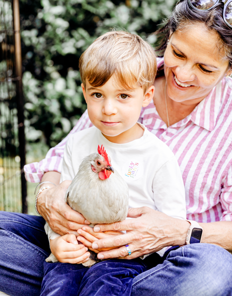 Animal Experience Gift visit -Rabbits - Image 3